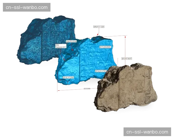前瞻分析：2027年世锦赛候选地评估报告出炉，重点关注亚洲城市